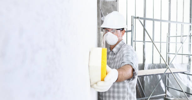 Best Mold Removal for HVAC Installations in Shell Valley, ND